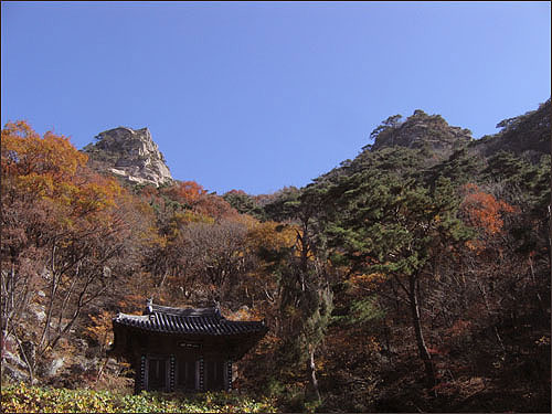 신흥암 산신각을 에워싼 단풍이 갑사댕기처럼 아롱다롱 고왔습니다. 